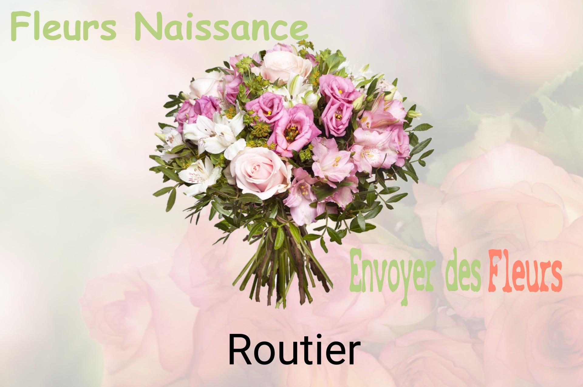 Bouquet de fleurs de naissance livré à Routier